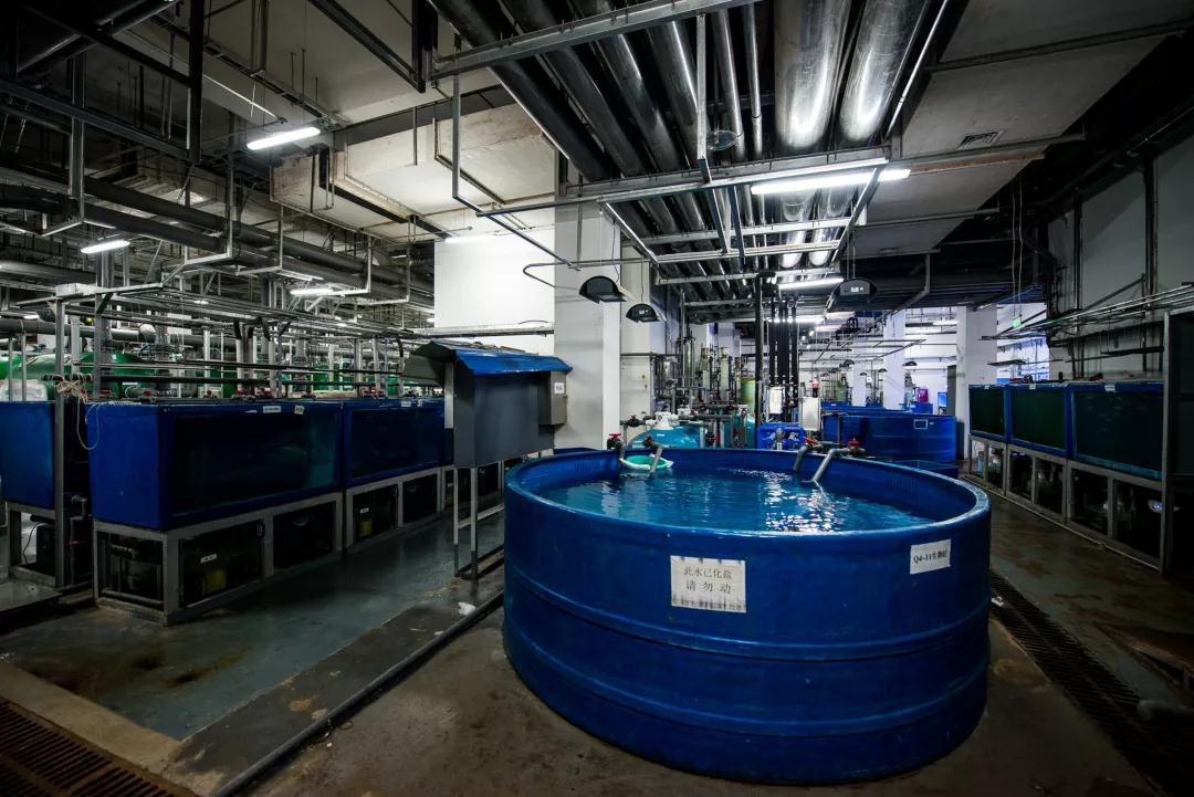 蠕動泵用(yòng)于克服三種廢(fei)水問題